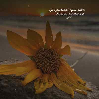 دانلود آهنگ شوخی شوخی داره جدی میشه