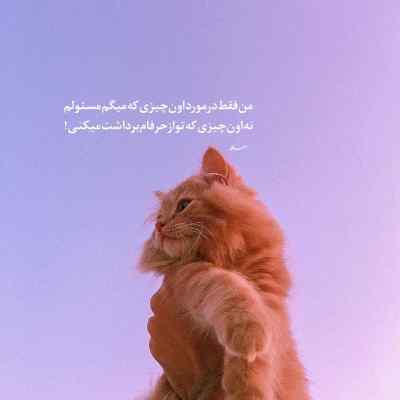 دانلود آهنگ تک تک غفور غفور با صدای بچه