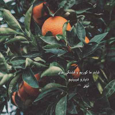 دانلود آهنگ وقتی پاییز تموم میشه زمستونم شروع میشه