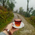 دانلود آهنگ ویگن به خاطر تو دانلود آهنگ ویگن به خاطر تو