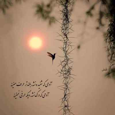 دانلود آهنگ بالاتر از سیاهی بخت منه تتلو هوش مصنوعی اینستا