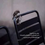 دانلود آهنگ مرهم از برشام