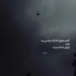 دانلود آهنگ بیژن بیژنی مرنجان دلم را که این مرغ وحشی