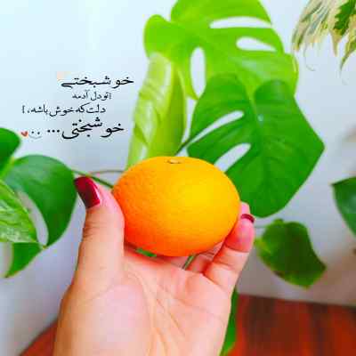 دانلود آهنگ در باغ دلم تازه گلی سر زدو گم شد میلاد افضلی