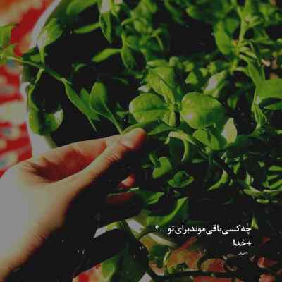 دانلود آهنگ سنی بندن آلسالار کوپارسالار ترکی اینستا