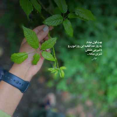 دانلود آهنگ رتی کجا از فرشاد آزادی
