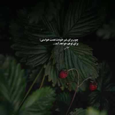 دانلود آهنگ میخوام دنیا بدونه کسی جز تو ندارم از حسین رحمتی