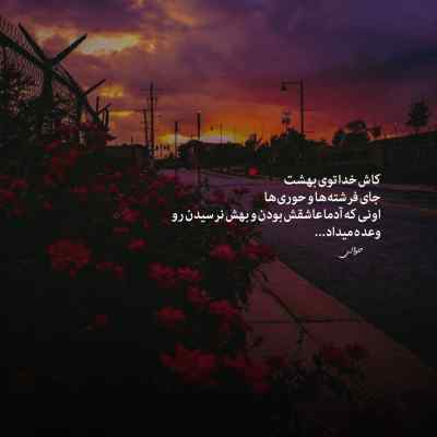 دانلود ریمیکس اینجا جنگله بخور تا خورده نشی اینستا