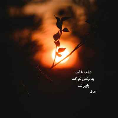 دانلود آهنگ جنگیدم واسه عشق عکستو دیدم باهاشو از آرتا