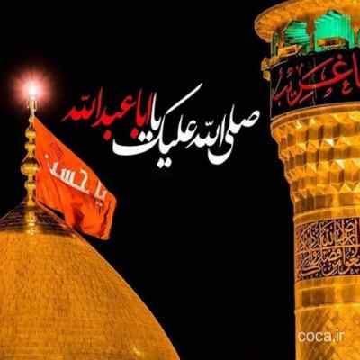 دانلود مداحی خاکم نکنید بزارید اربابم برسه ترکی