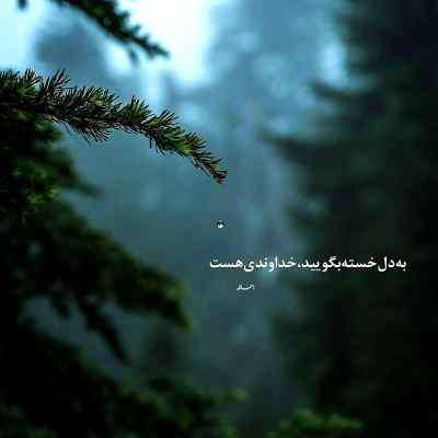 دانلود آهنگ تا خرخره مستم هرشو به یادش از حمیدرضا بابایی کردی