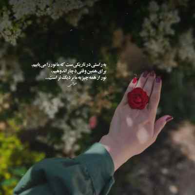 دانلود آهنگ هیش از یانگ صادن خلسه