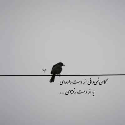 دانلود آهنگ از تو یدونست دوتا نیست با صدای زن