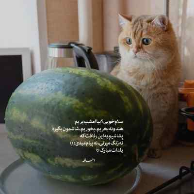 دانلود آهنگ حالا نه جیدال عرفان