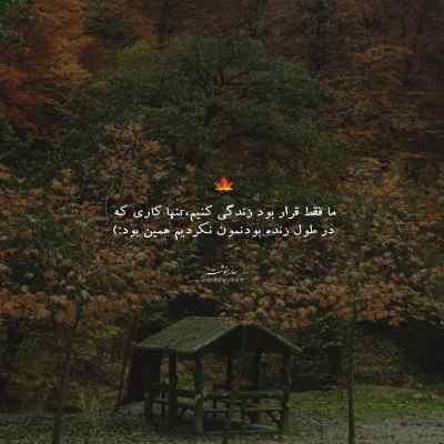 دانلود آهنگ جاده اسم منو فریاد میزنه