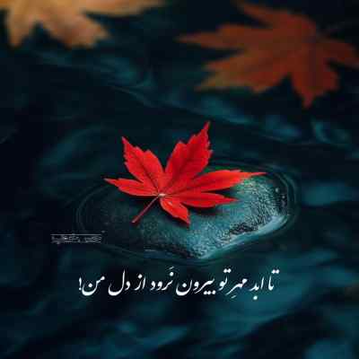 دانلود آهنگ رفیق تو منم منم شادمهر عقیلی