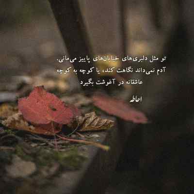 دانلود آهنگ تو نقطه ضعف منی ست رو بدن همیم از شایان یو