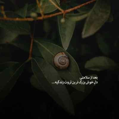 دانلود آهنگ ترامپ ترند اینستاگرام صل علی سه ترکه