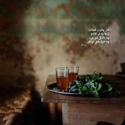 دانلود آهنگ کی با ما زوزه میکشه از علی سورنا