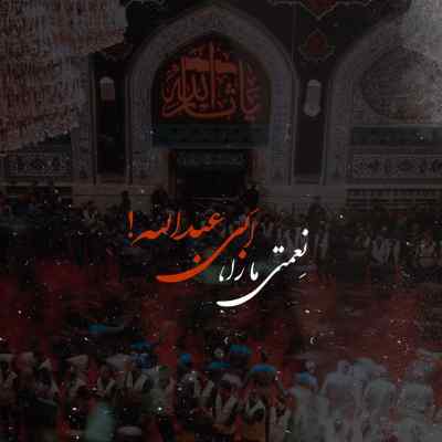 دانلود مداحی بارون اومده حاج قاسم برات مهمون اومده