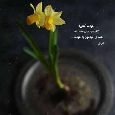 دانلود آهنگ بی تو هرشب این دیوونه مست نگات زیر بارونه نوان