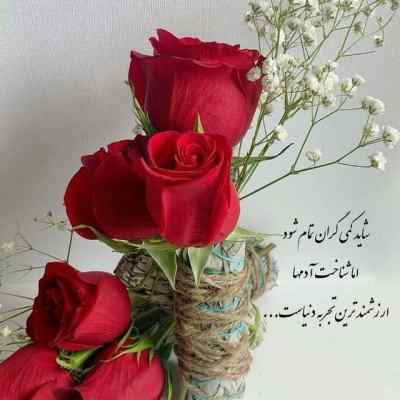 دانلود ریمیکس صلی علی سترکه چشما ترامپ بترکه ترند اینستا