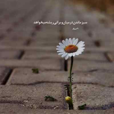 دانلود ریمیکس دوباره تیک تیک ساعت شبو یادم میاره اینستا