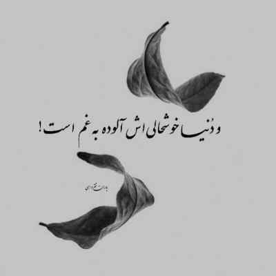 دانلود آهنگ آخه دختر نیلوفر دیگه که از من بهتر از گروه فارز اندی
