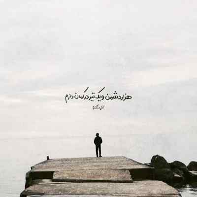 دانلود آهنگ چقدر تنگه دلم واست بگو کی وسطش جا زد فرهاد گلزاری