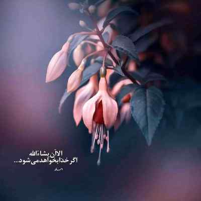دانلود آهنگ تاوان 2 از فرهاد جهانگیری