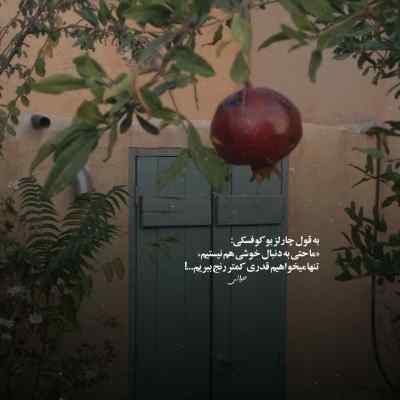 دانلود آهنگ هر وقت تونه بوینم د مینه بازار از فرشاد آزادی لری