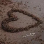 دانلود آهنگ فاضل دریس چشات عجیب غریبه جاذبه داره والله دانلود آهنگ فاضل دریس چشات عجیب غریبه جاذبه داره والله
