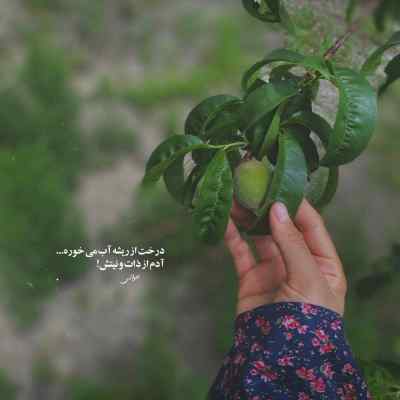 دانلود آهنگ گلین اوجاقا گلر با صدای زن