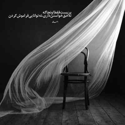 دانلود آهنگ حاجی قدو ببین یا خدا از دیانو ترند اینستا