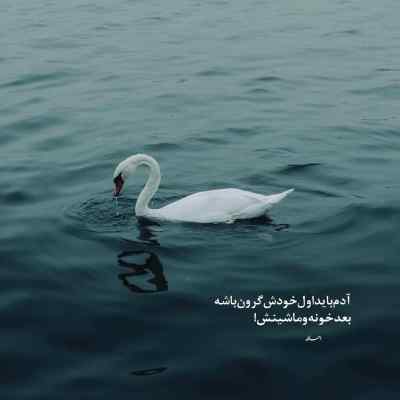 دانلود آهنگ حنا حنا خانوم حنا چه اسمیه اسم شما از ابی