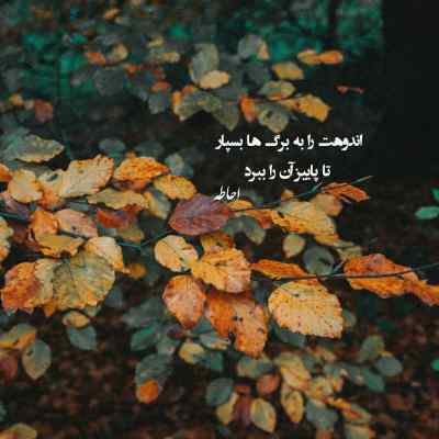 دانلود ریمیکس نگار از دانیال بی بال علی سورنا و ناجی غمگین احساسی