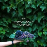 دانلود آهنگ حیدو هدایتی دریا چه اسم قشنگی دانلود آهنگ حیدو هدایتی دریا چه اسم قشنگی
