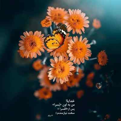 دانلود آهنگ حیله گر شب تنهایی شبای منم فقیرایی از علی احمدیانی