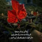 دانلود آهنگ ایرج خواجه امیری دیشب با دلم خلوتی داشتم دانلود آهنگ ایرج خواجه امیری دیشب با دلم خلوتی داشتم