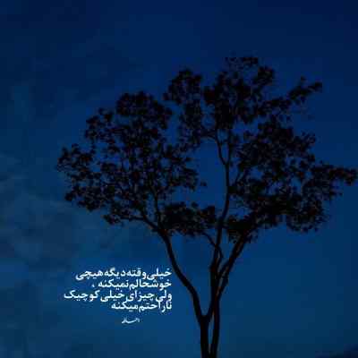 دانلود آهنگ میشکنم دیوار دلم و تو بخوای از مهیار امیری