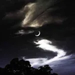 دانلود آهنگ مهدی عسگری من تمامم رو میذارم برات دانلود آهنگ مهدی عسگری من تمامم رو میذارم برات