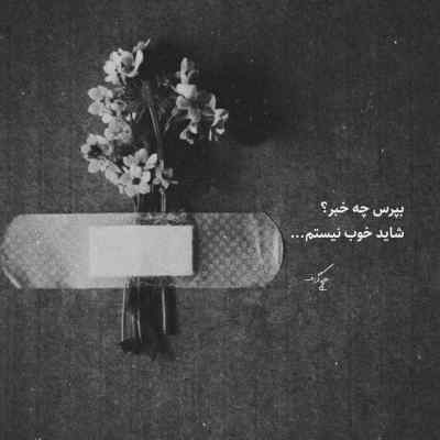 دانلود آهنگ یه شاخه گل از معین هوش مصنوعی علی عبدالمالکی