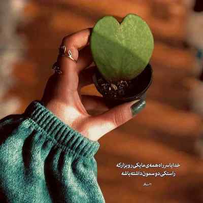 دانلود آهنگ مو پریشون چیشاتم مهربونم از محمدرضا زمانی