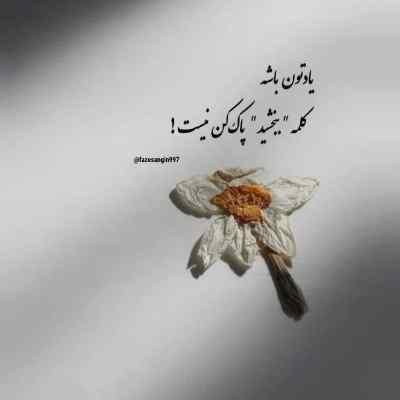 دانلود آهنگ محسن چاوشی تهران که دریا نداره