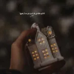 دانلود آهنگ محسن نامجو زلف بر باد مده دانلود آهنگ محسن نامجو زلف بر باد مده