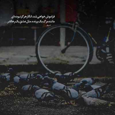 دانلود آهنگ یاغمور بدون تو دووم آوردم از محسن یگانه هوش مصنوعی