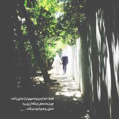 دانلود ریمیکس سه شنبه سرد از مرتضی پاشایی ناجی مسلک علی سورنا و سینا ساعی