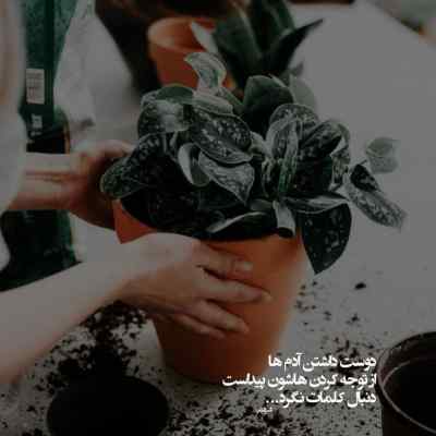 دانلود آهنگ چرا من از مرتضی پاشایی هوش مصنوعی علی منتظری