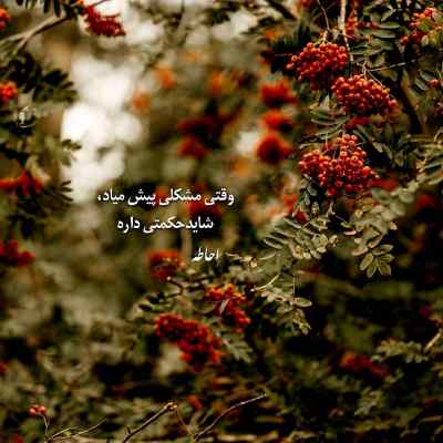 دانلود ریمیکس شهر تار از ناجی امیر خلوت مسلک علی سورنا بهرام شایع