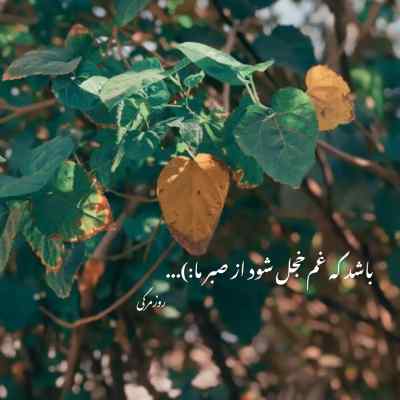دانلود آهنگ من عاشقشم از شادمهر عقیلی و مرتضی پاشایی هوش مصنوعی
